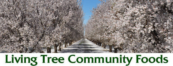 Almond Field Newsletter Header