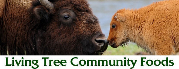 Buffalo Field Campaign Newsletter Header