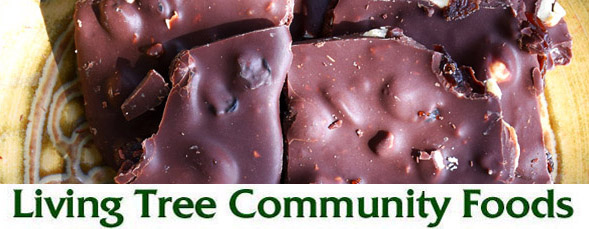 Chocolate Barque Newsletter Header