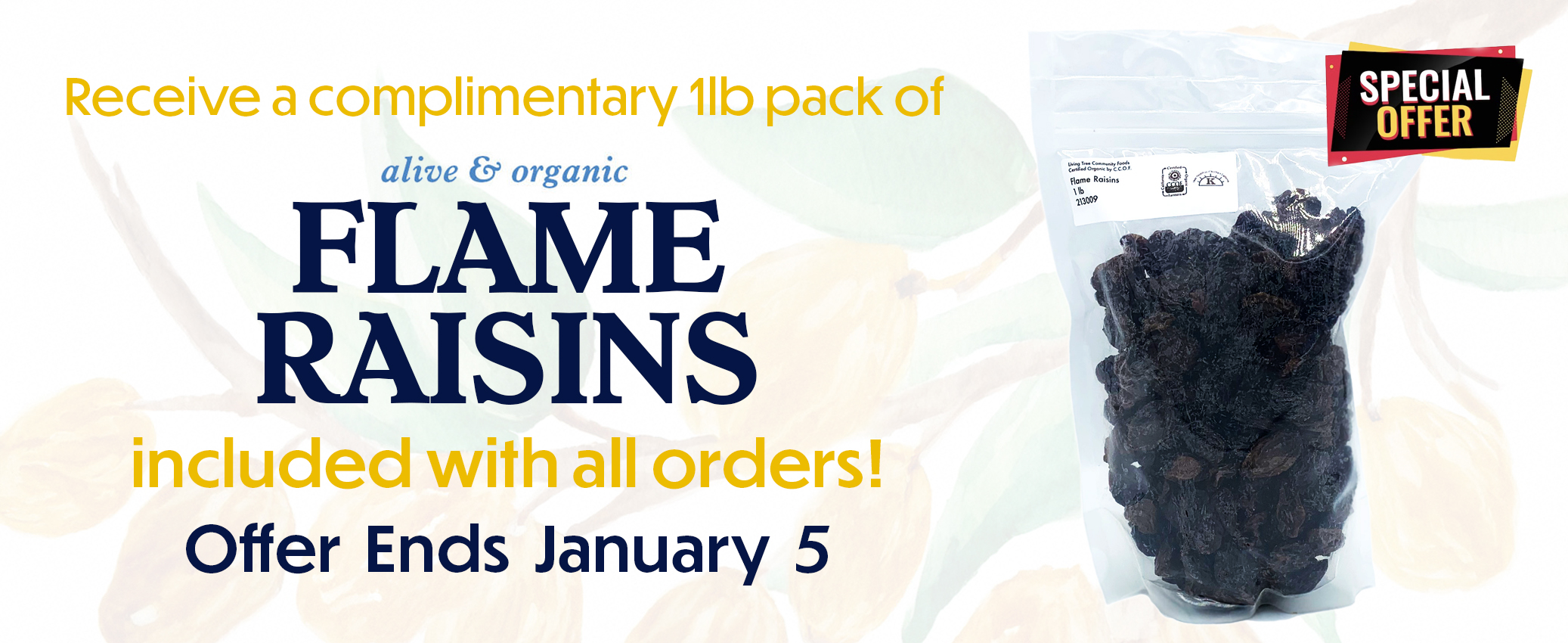 Flame Raisins Free Gift Homepage Banner