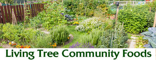 Garden Newsletter Header