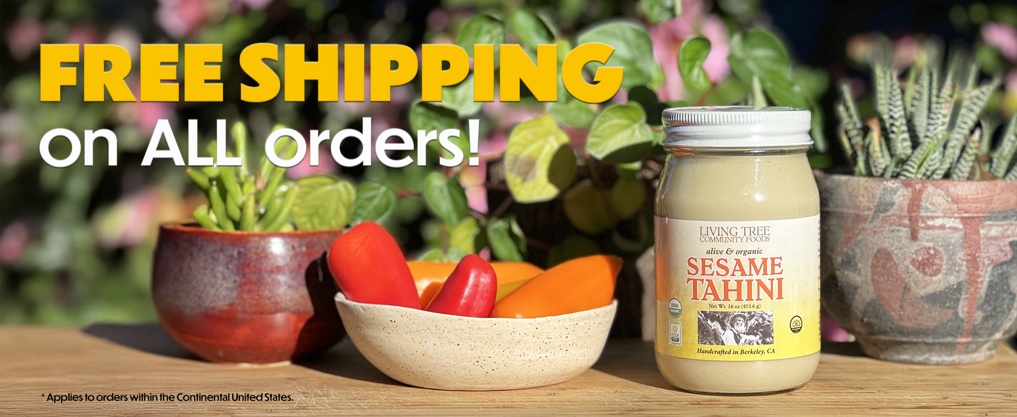 Free Shipping Homepage Banner