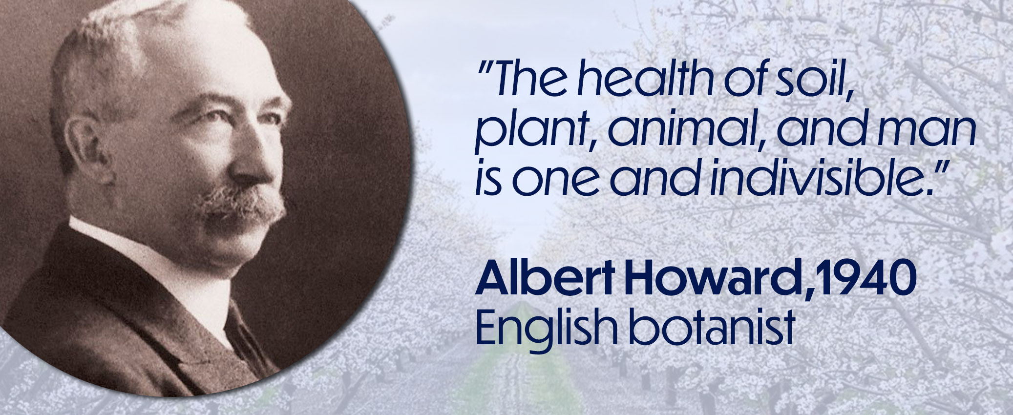 Albert Howard Homepage Slide