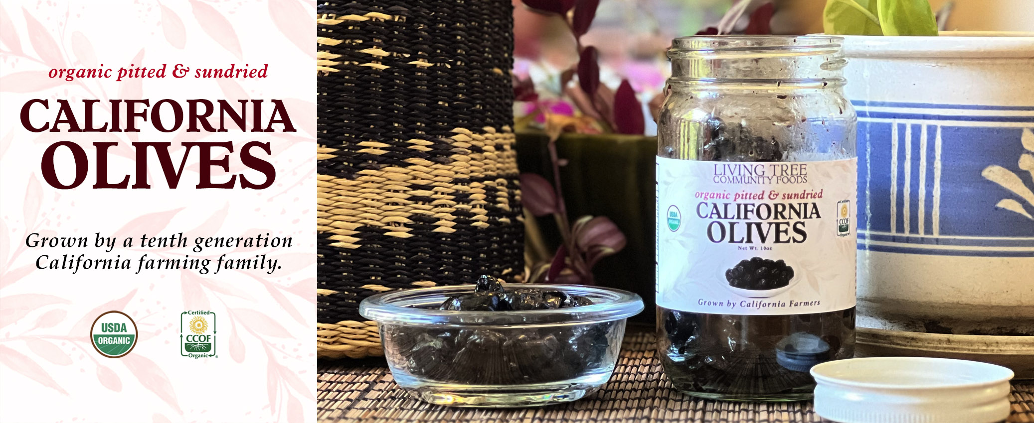 California Pitted Olives Homepage Banner