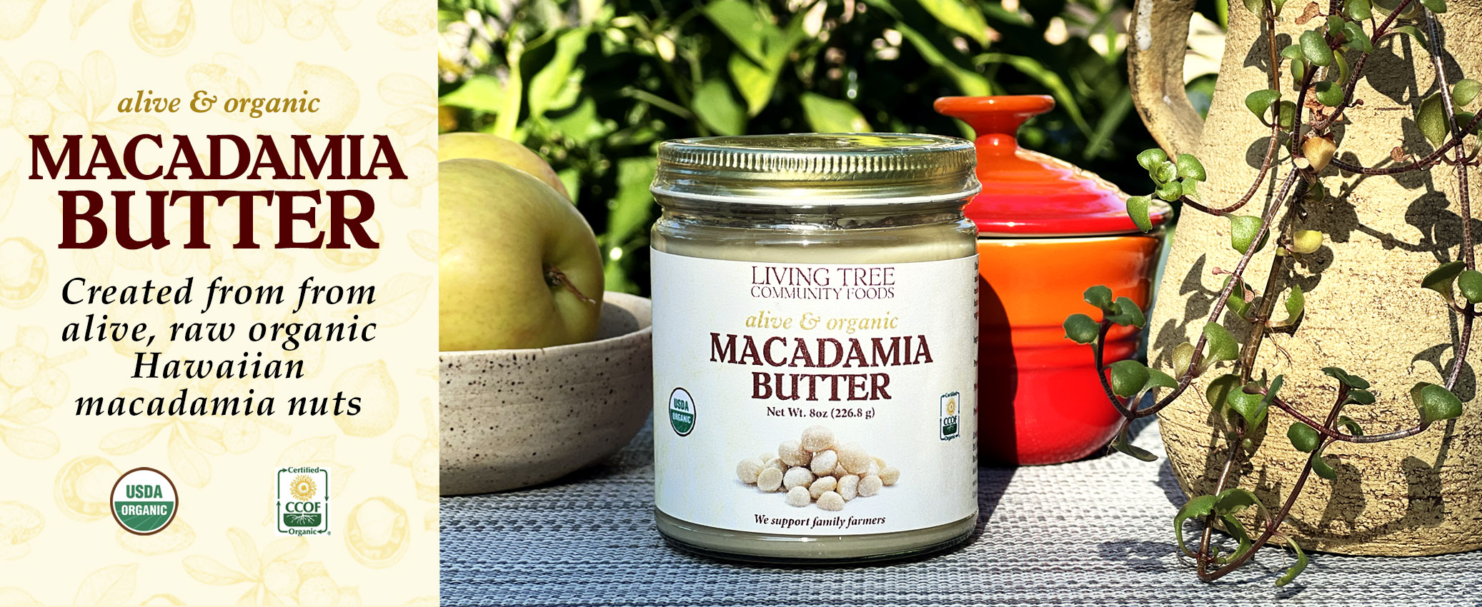 Macadamia Butter Homepage Banner