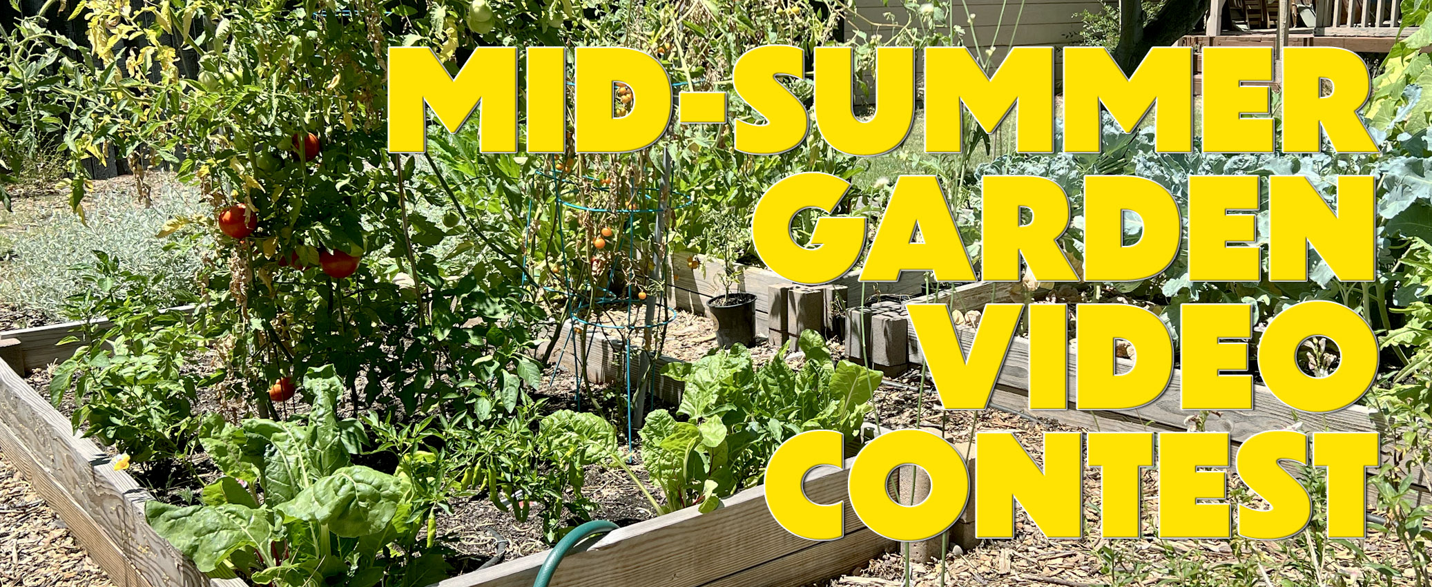 Mid-Summer Garden Video Contest Banner