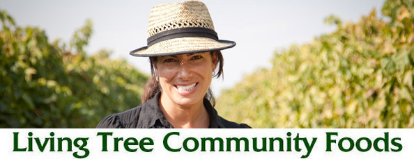 Natalie Soghomonian Farmer Newsletter Header