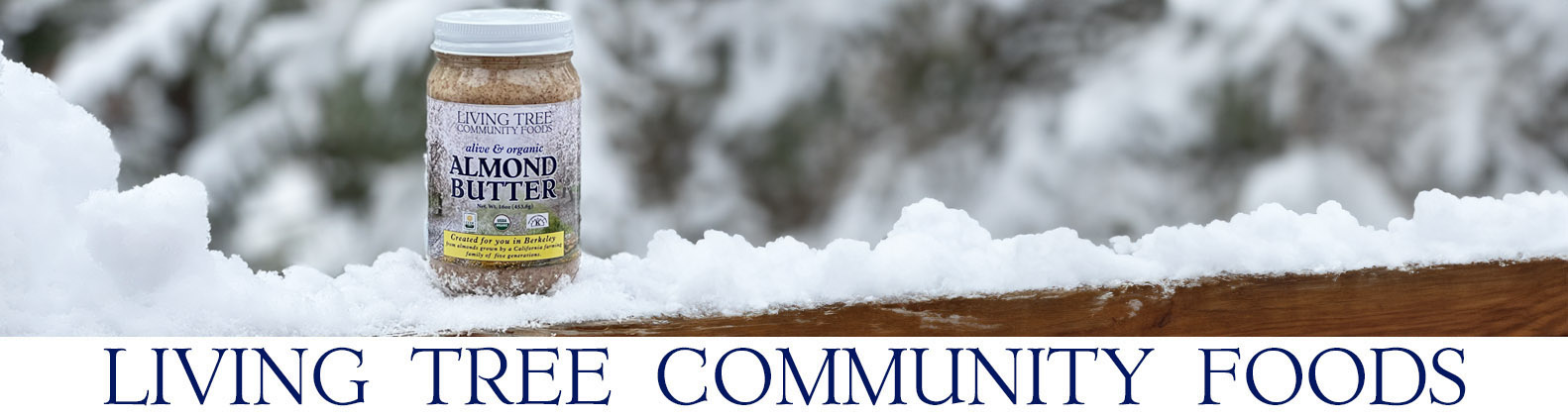 Winter Almond Butter Newsletter Header