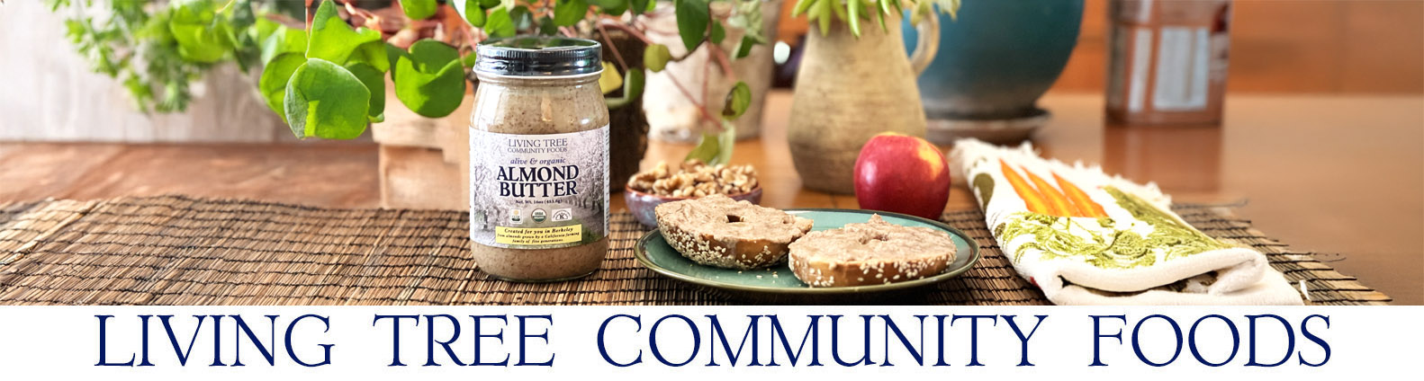 Almond Butter Bagel Newsletter Header