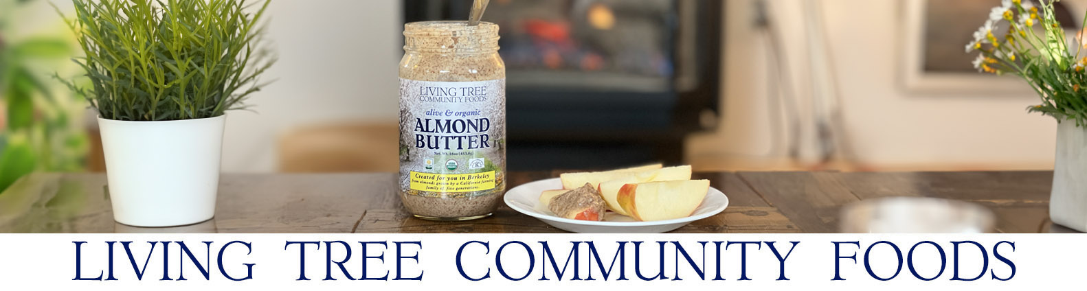 Almond Butter Fireplace Newsletter Header
