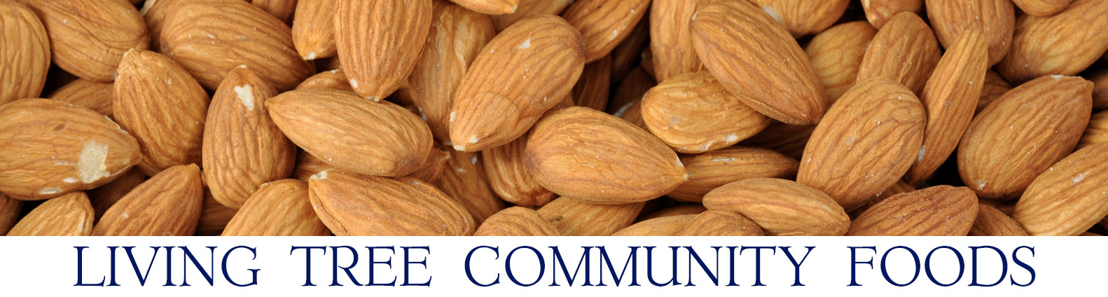 Almond Newsletter Header