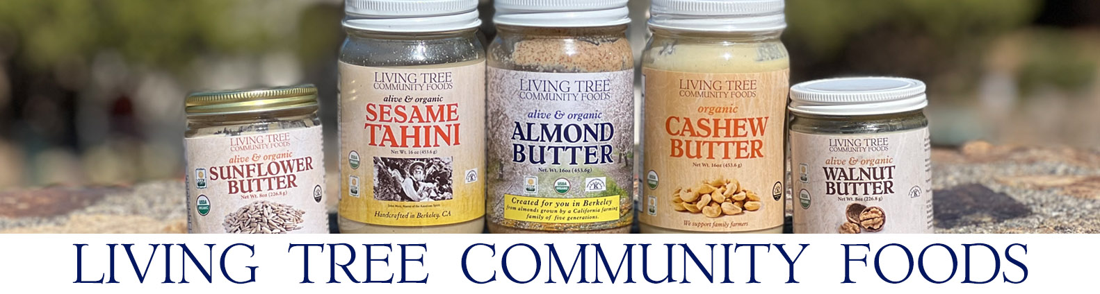 Nut & Seed Butter Jars Newsletter Header