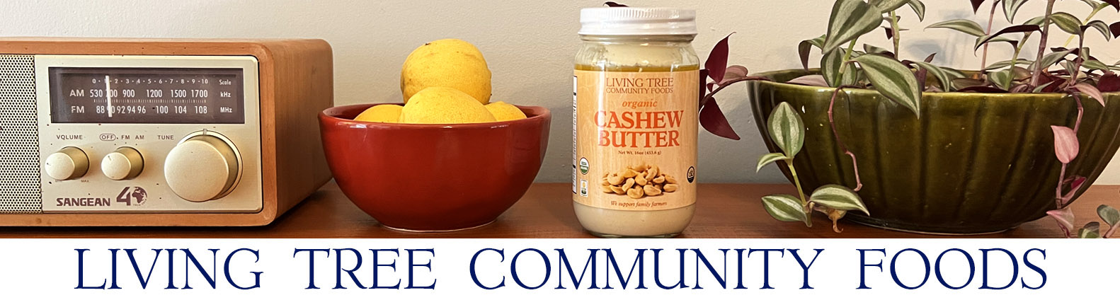 Cashew Butter Newsletter Header