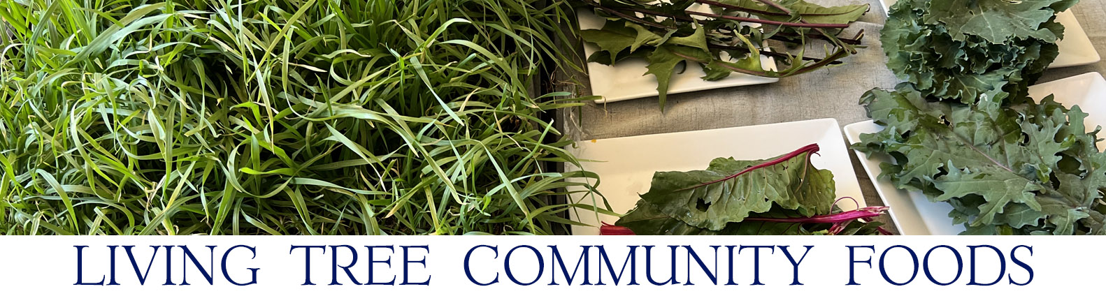 Finely Divided Greens Newsletter Header