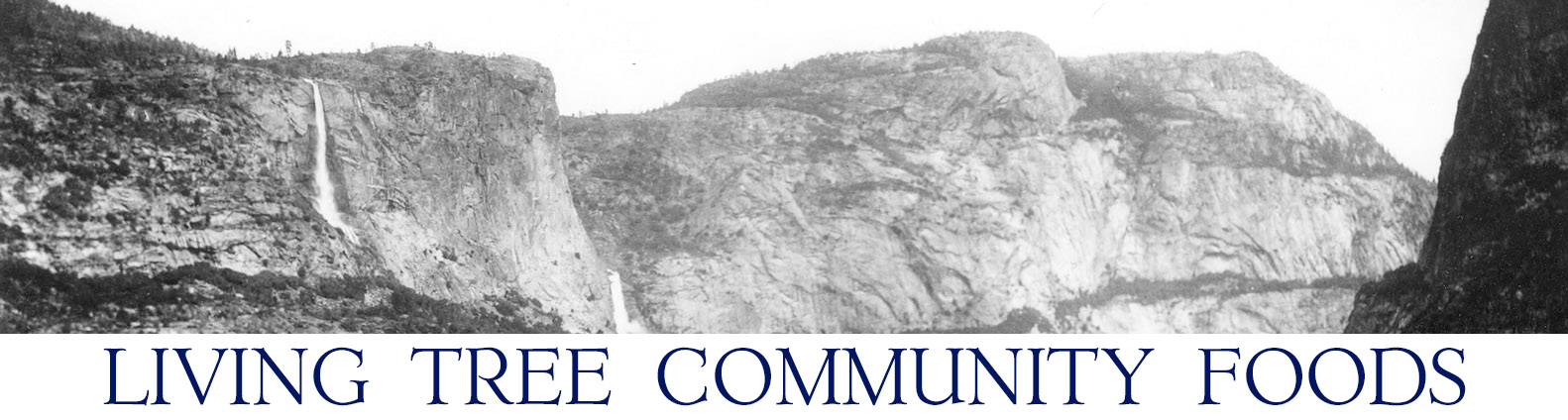 Hetch Hetchy Newsletter Header