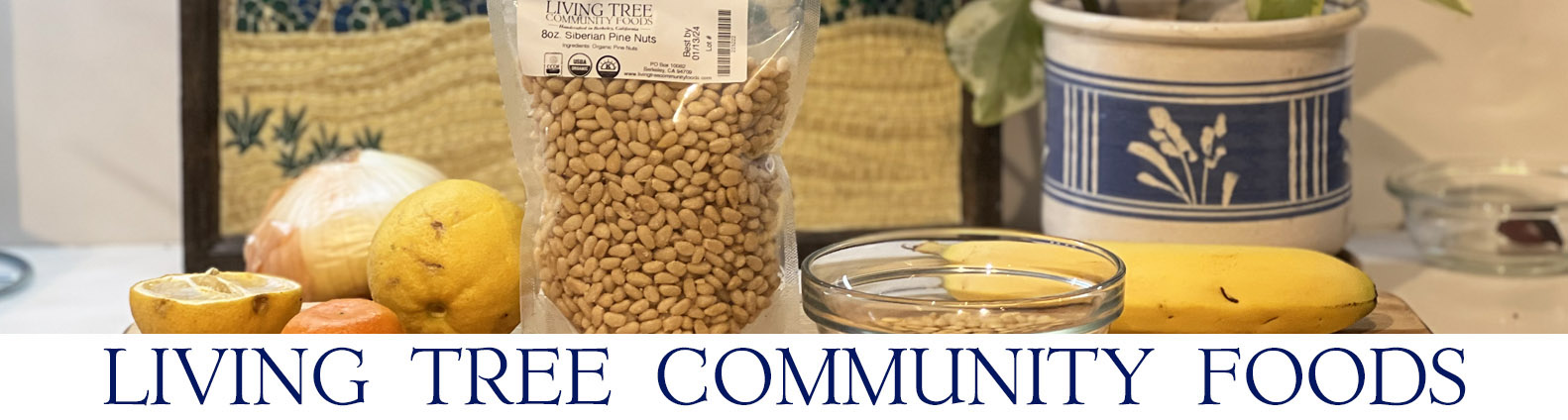 Pine Nuts Newsletter Header