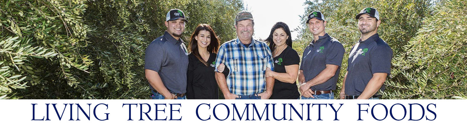 Polit Family Olive Growers Newsletter Header