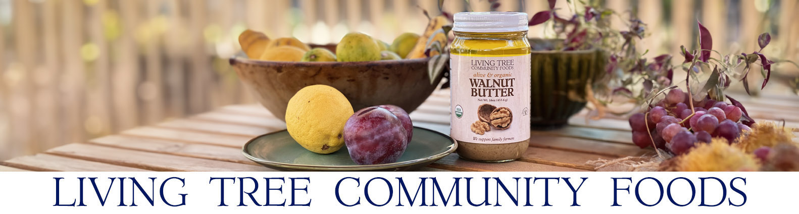 Walnut Butter Newsletter Header