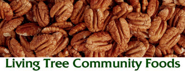 Pecan Newsletter Header