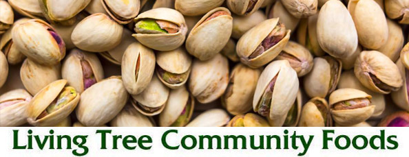 Pistachio Newsletter Header