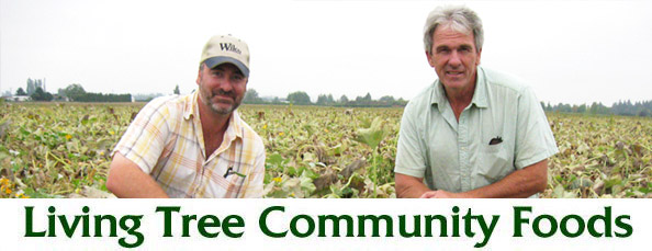 Oregon Pumpkin Farmer Newsletter Header