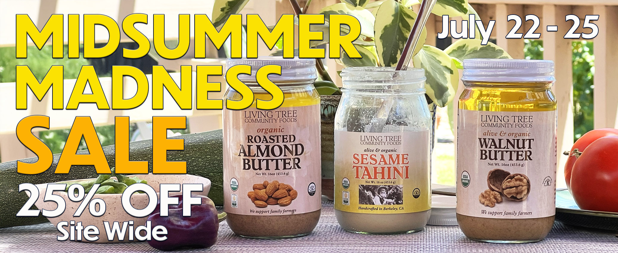 Summer Madness Sale Homepage Banner