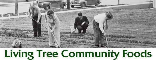 Victory Garden Newsletter Header