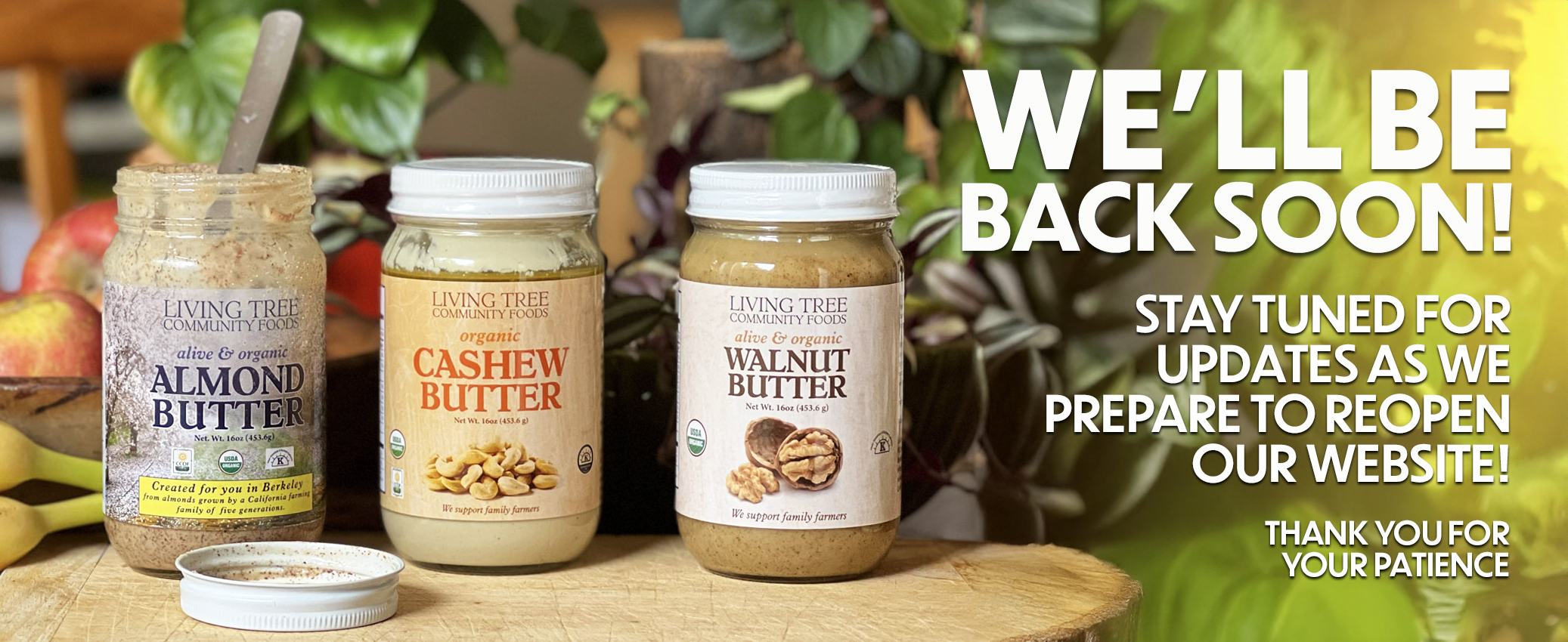 Website Reopen Soon Homepage Banner