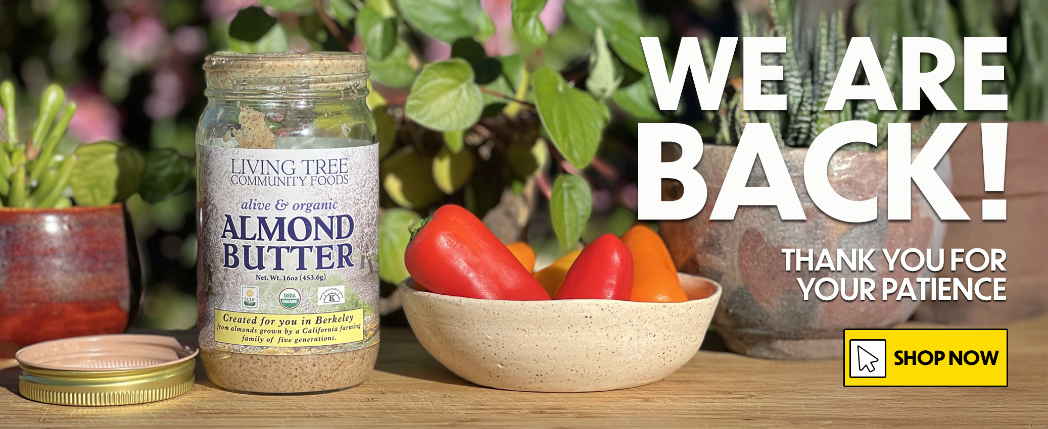 Website Reopen Homepage Banner