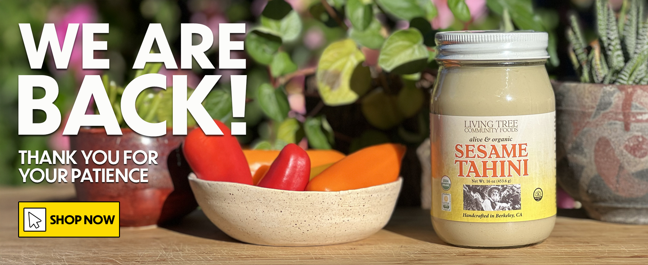 Website Reopen Homepage Banner