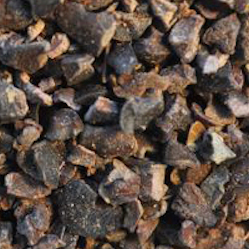 Cacao nibs