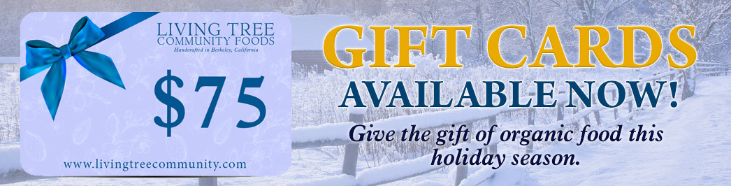 Gift Card Winter Promo Banner