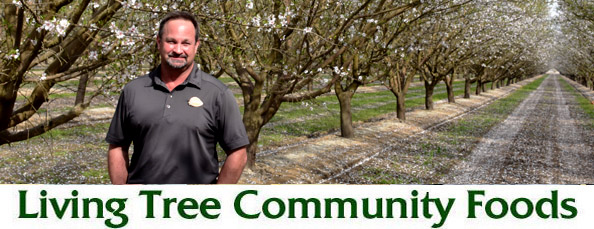 Steve Koretoff Almond Field Newsletter Header