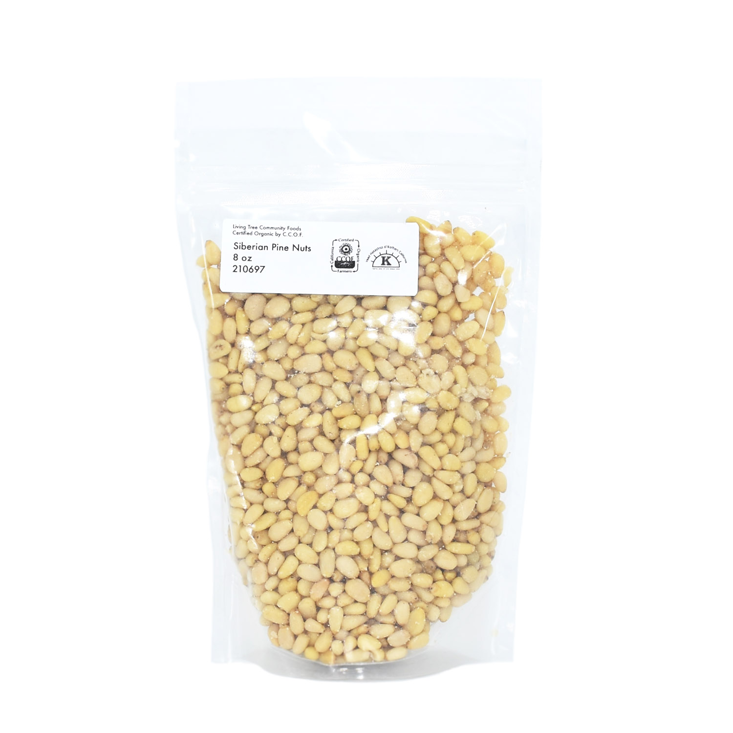 Siberian Pine Nut 8oz Pack