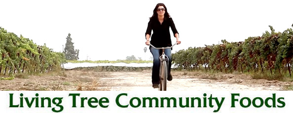 Soghmonian Bike Farm Header