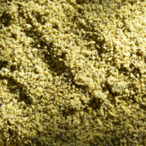 Pumpkin Seed Flour Alive Organic Living Tree Community Foods pumpkin-seed-flour-alive-organic-living-tree-community-foods